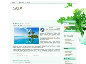 wp_harb01_01